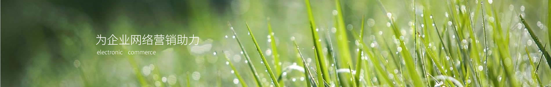 Ĵƺ㴴Ƽ޹˾